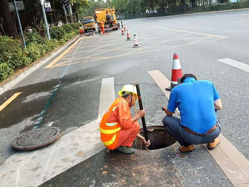 广东专业的水务养护团队